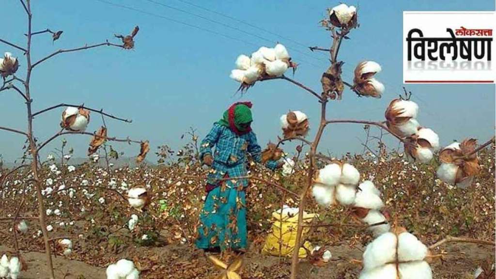 farmer want to increase import duty on cotton