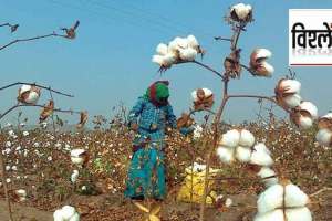 farmer want to increase import duty on cotton