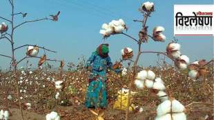 farmer want to increase import duty on cotton