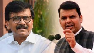 devendra-fadnavis-on-sanjay-raut-2
