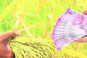 farmer-money
