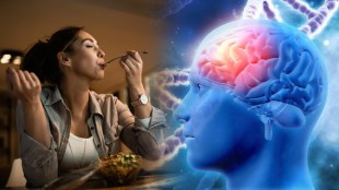 healthy food for brain