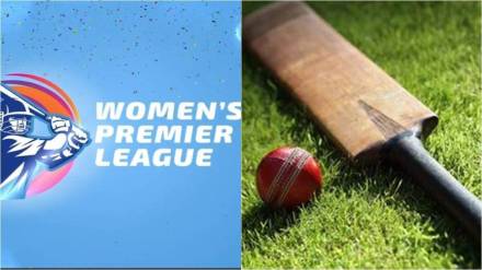 After IPL TATA became the title sponsor of WPL
