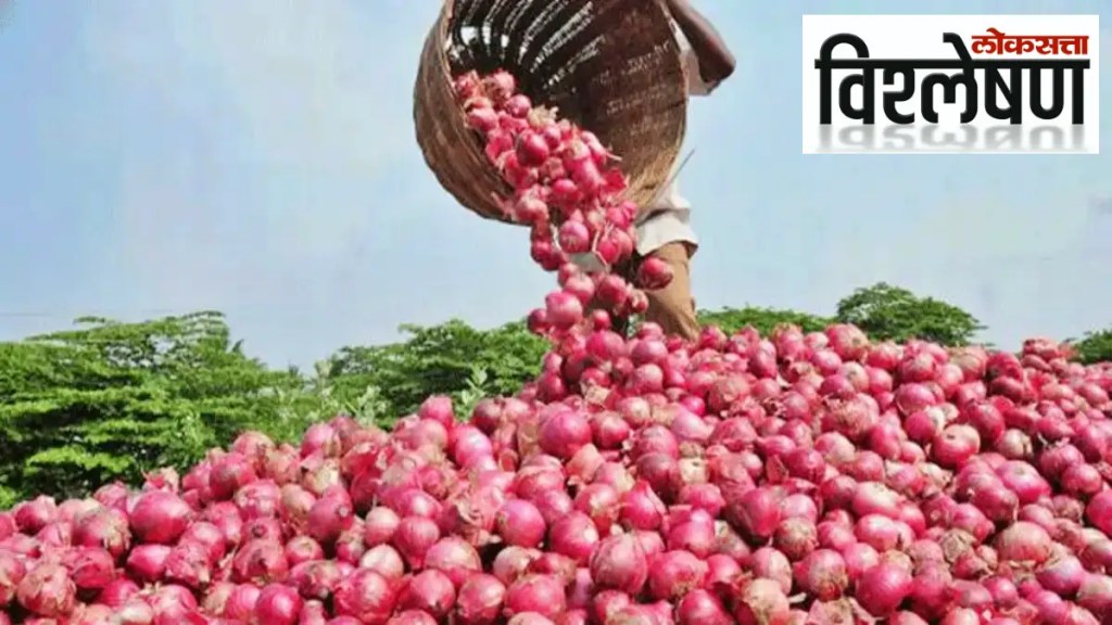 kanda-market-price-onion