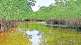 ramsar convention on wetlands