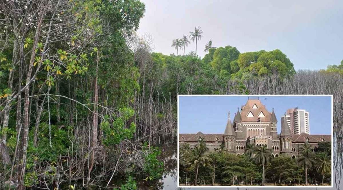bombay high court allows nhai to cut mangroves