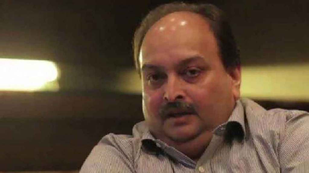 पीएनबी बँक घोटाळा : मेहुल चोक्सीने दाखल केलेली याचिका गहाळ; उच्च न्यायालयाने वकिलास विचारला मिश्किल प्रश्न, म्हटले…
