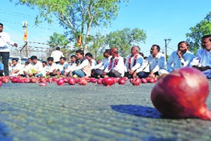 Farmers are aggressive due to falling price of onion in nashik