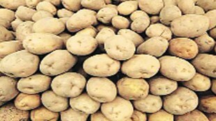 potato
