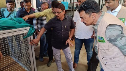 sayyaji shinde