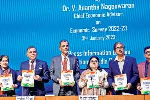 economic survey report recommended several reforms