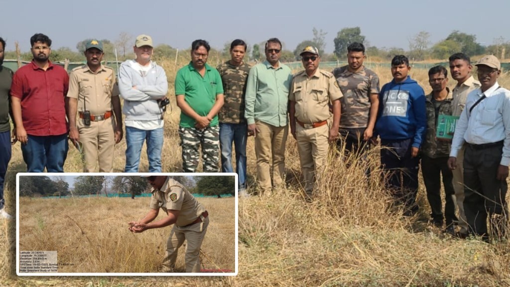 tadoba vyagraprakalap