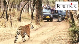 tiger projects, tigers habitat, tourist, tourism, government