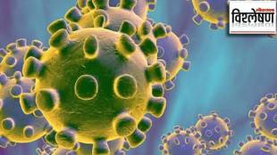 virus