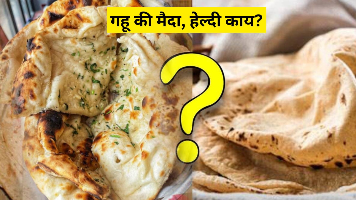 गव्हापेक्षा वेगाने पचतात मैद्याच्या पोळ्या! न्यूट्रिशनिस्ट सांगतात डायबिटीज व वजन जास्त असल्यास किती करावे सेवन?