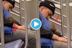 Huge Rat Climbs On Man In Metro Shocking Reaction Of Passenger Goes Viral Video Trending