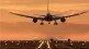 Go First Suspend Flights