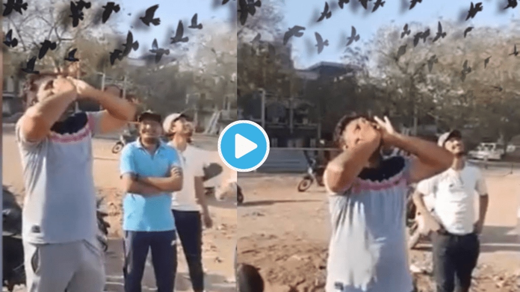 Video Man Weird Voice Shocks Netizens Mimics Crow So Perfect That 100 animal Gather in Just Five seconds Watch Here