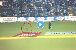 India vs Australia 3rd ODI Videos