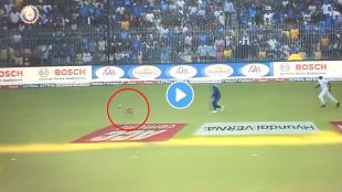 India vs Australia 3rd ODI Videos