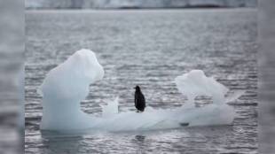 Antarctic-ocean