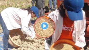 Ashwini Mahangade farm video