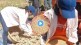 Ashwini Mahangade farm video