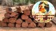 Ayodhya will send 1800 cubic meters of teak wood