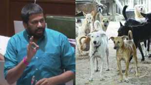 Bachchu Kadu on Assam Dog remark