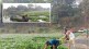 Extraction of water leaves from Ulhas river has started kalyan