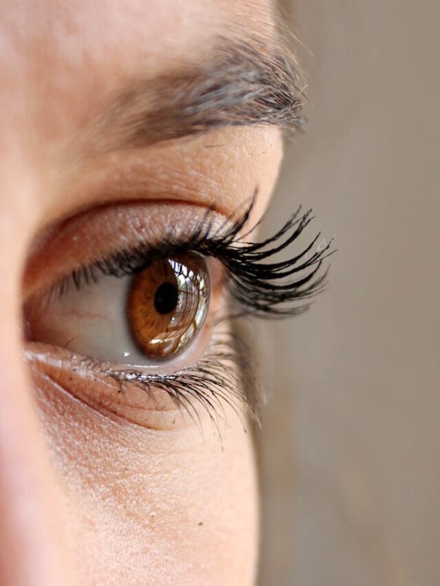 Eye Care Tips - loksatta