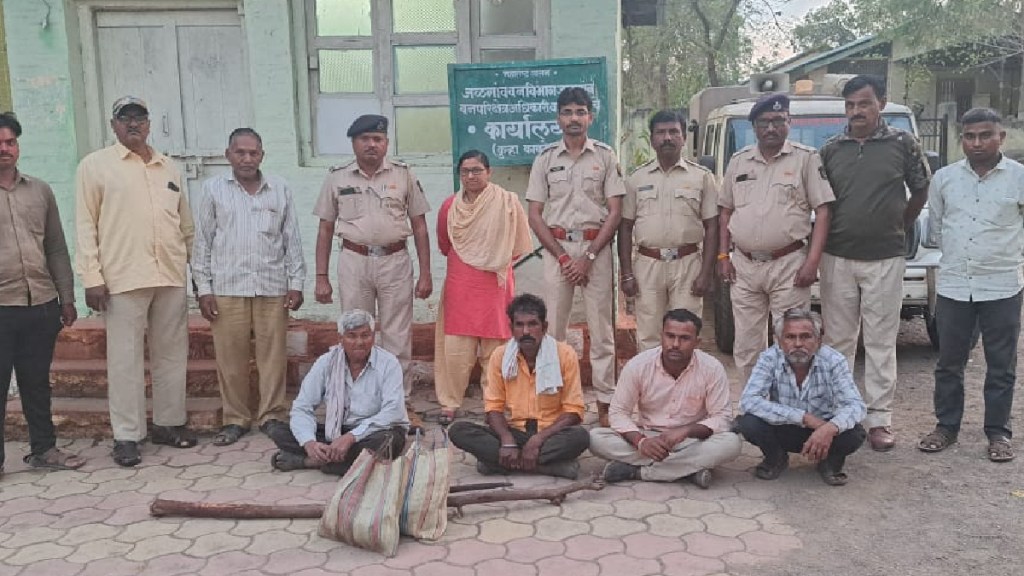 Forest department arrests four who hunted syal Jalgaon