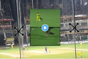IND vs AUS: While between the live match kite side suddenly attacked on Stoinis and Pandya Video viral