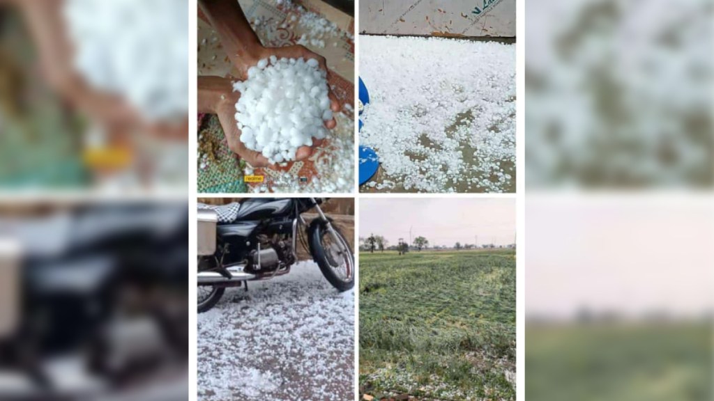 Heavy hail in Dhule district