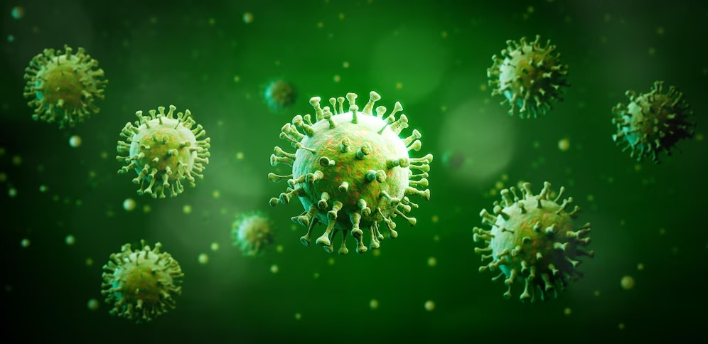 Influenza Virus H3N2 
