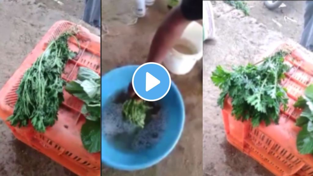 Viral Video of vegetable freshened by chemicals