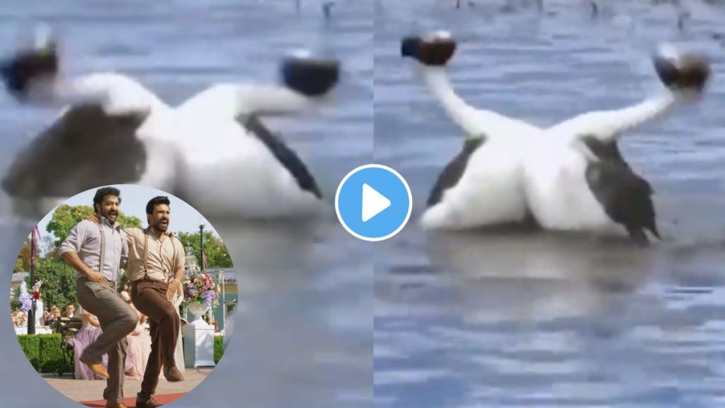 Harsh goenka shares ducks video on twitter