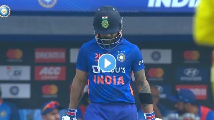 Virat Kohli Batting Video