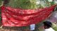 Naxals support the old pension