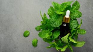 peppermint oil