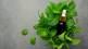 peppermint oil