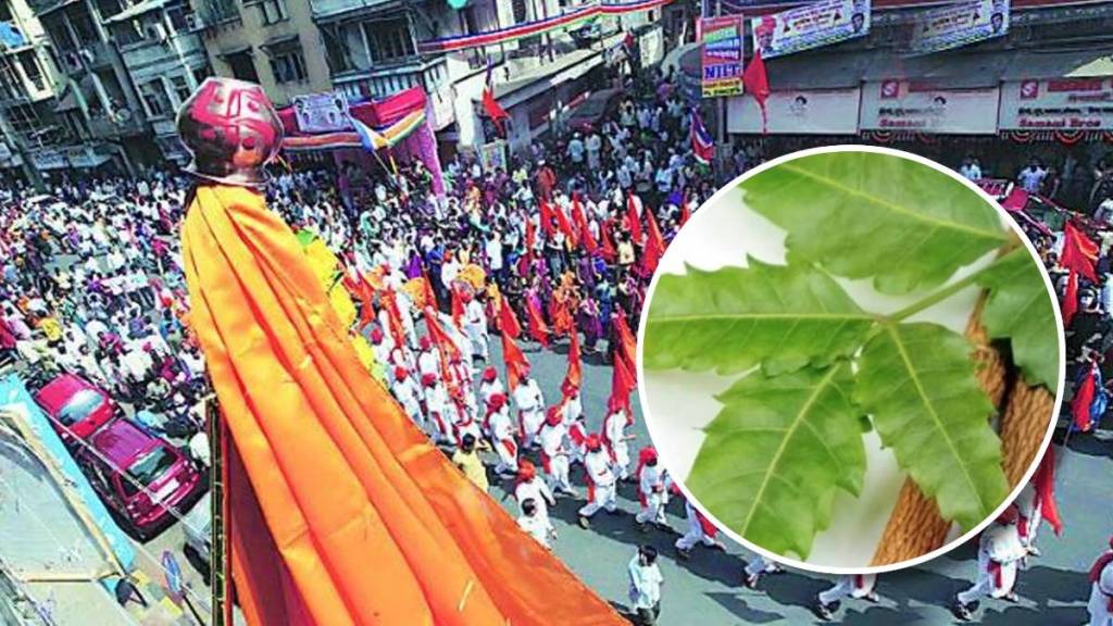 gudi padwa neem leaf