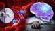 Man in Florida killed by brain eating amoeba After washing Face with tap water How To Avoid Infection Know From Expert