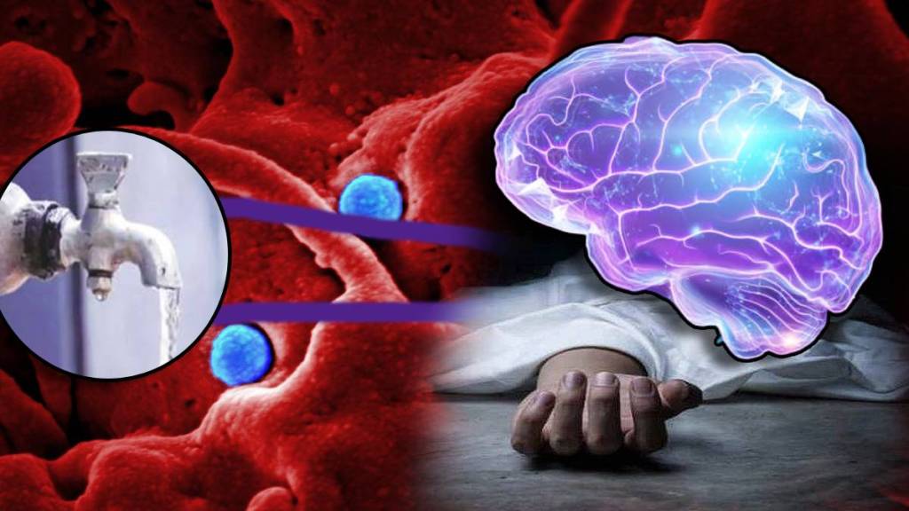 Man in Florida killed by brain eating amoeba After washing Face with tap water How To Avoid Infection Know From Expert
