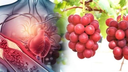 red garpes for bad cholesterol