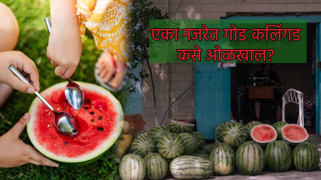 How To Find Sweet Watermelon Without Cutting or Tasting Check These Signs Of Raw And Adulterated Fruits Summer Hacks