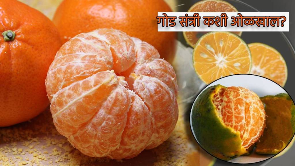 How To Find Sweet Orange Without Peeling Natural signs Of Best Oranges Mosambi Lemon Kitchen Tips Smart Hacks