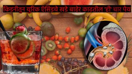 Kidney Stone Uric Acid Crystals Will be Thrown out Of Body Via Urine Four Easy Ayurvedic Drinks For Healthy Body
