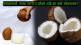 How To Find Best Coconut With Extra Water And More Khobar Coconut Flesh Use These 7 Hacks Of Shopping Lifestyle Tips