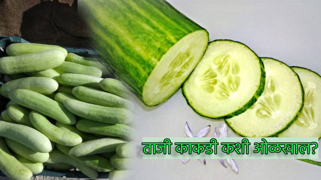 How To Buy Fresh Cucumbers Avoid Bitter Salads And Detox Water Find Fruits With Less Seeds With Simple Kitchen Hacks